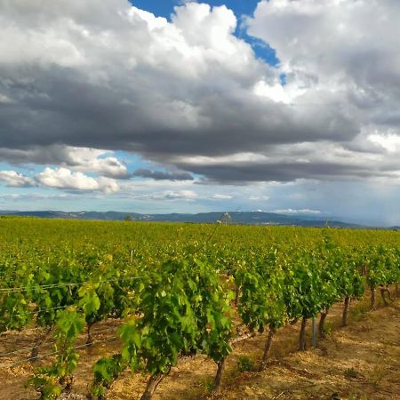 Апартаменти La Puerta Al Centro De Logrono Vino Crianza Y Desayuno Incluidos Екстер'єр фото